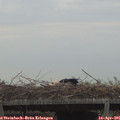 06_40-mast.jpg