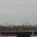 06_45-mast.jpg