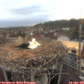 06_45-nest.jpg