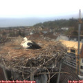 07_00-nest.jpg