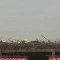 07_25-mast.jpg