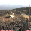 07_45-nest.jpg