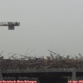 08_10-mast.jpg