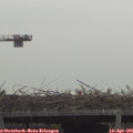 08_15-mast.jpg