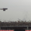08_20-mast.jpg