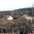 08_20-nest.jpg