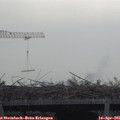 08_25-mast.jpg