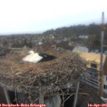 08_25-nest.jpg