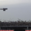08_30-mast.jpg