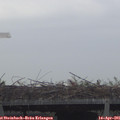 08_35-mast.jpg