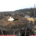 08_35-nest.jpg