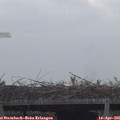 08_40-mast.jpg