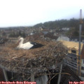 08_40-nest.jpg