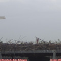 08_45-mast.jpg