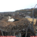 08_45-nest.jpg