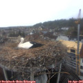 08_50-nest.jpg