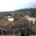 09_00-nest.jpg