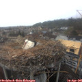 09_15-nest.jpg