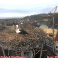 10_10-nest.jpg