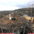 10_25-nest.jpg