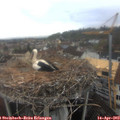 10_30-nest.jpg