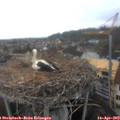 10_35-nest.jpg