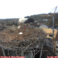 10_40-nest.jpg