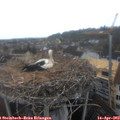 10_50-nest.jpg