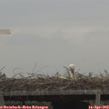 12_00-mast.jpg