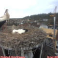 13_30-nest.jpg