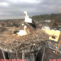 13_55-nest.jpg