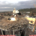 14_05-nest.jpg