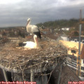 14_10-nest.jpg