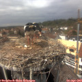 14_15-nest.jpg