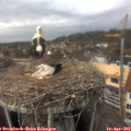 14_20-nest.jpg