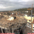14_25-nest.jpg