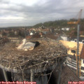 14_30-nest.jpg