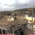 14_35-nest.jpg