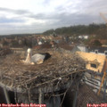 14_40-nest.jpg