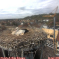 14_45-nest.jpg