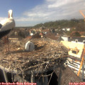 15_05-nest.jpg