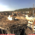 16_35-nest.jpg