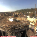 16_45-nest.jpg
