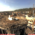 16_55-nest.jpg