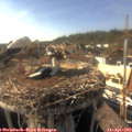17_10-nest.jpg
