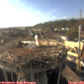 18_05-nest.jpg