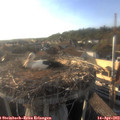 18_40-nest.jpg