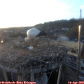 19_50-nest.jpg