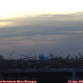 06_35-mast.jpg