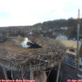 06_35-nest.jpg